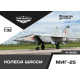 КОЛЕСА ШАССИ МИГ-25 1/32
